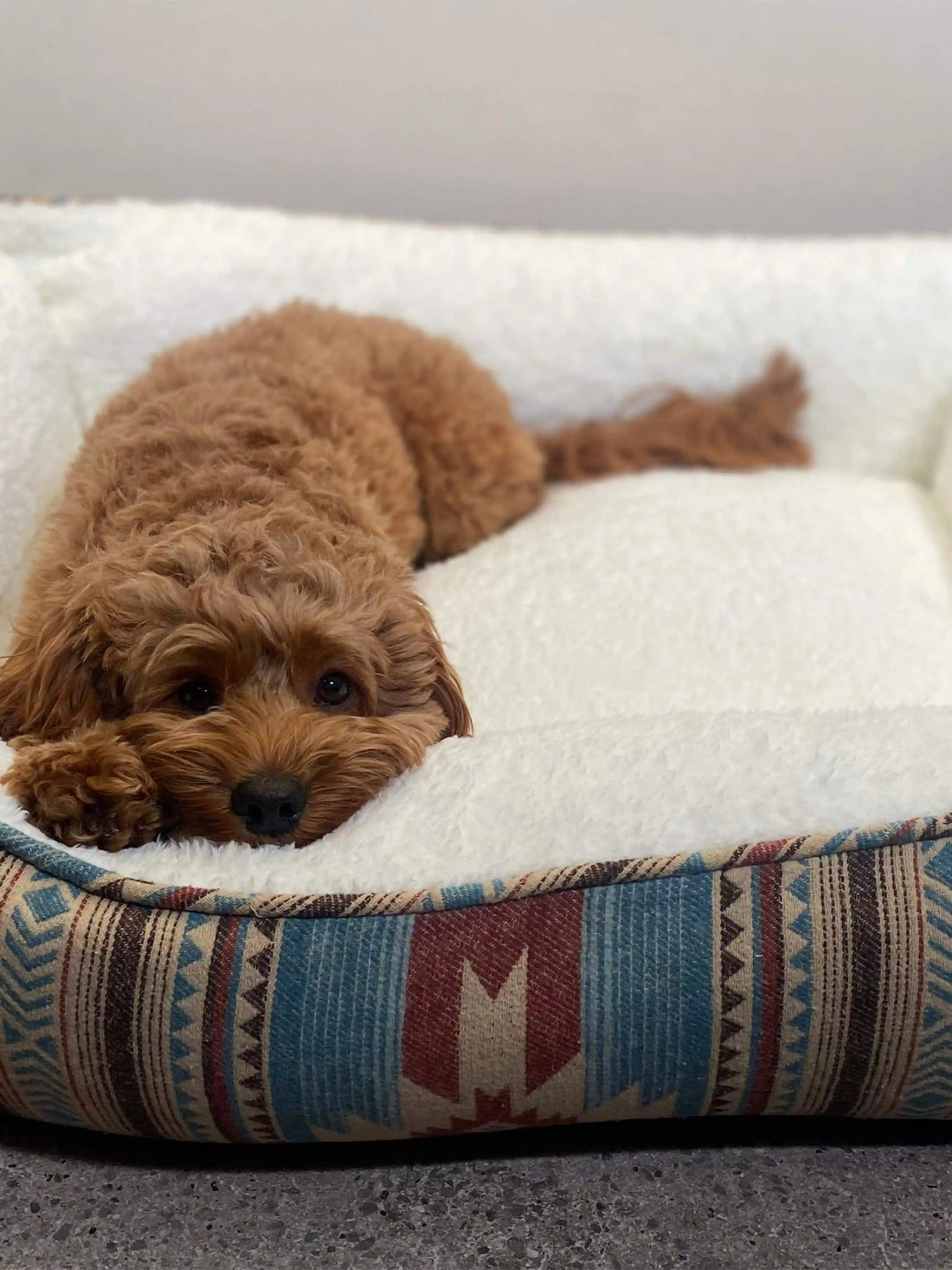 Doug Good Feather Dog Bed (Small) - Nescove